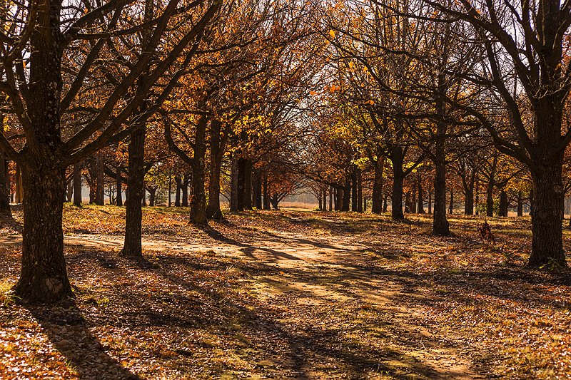 winter colour.jpg